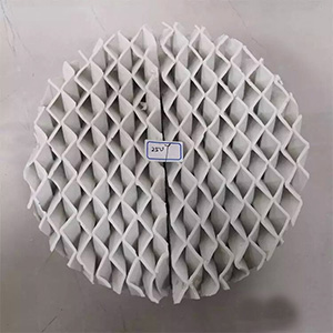 陶瓷规整填料试用样品申请指南及其在化工工业中的实际应用