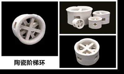 阶梯环