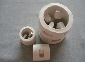 陶瓷鲍尔环填料性能优势及应用场景咨询指南