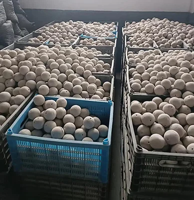 环保填料多孔瓷球 废气废水一体化塔开孔惰性球