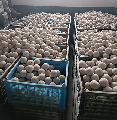 耐卤水多孔瓷球 盐化工反应塔内部开孔氧化铝填料球